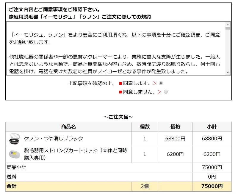 ⑥同意事項に同意後、注文内容を確認する